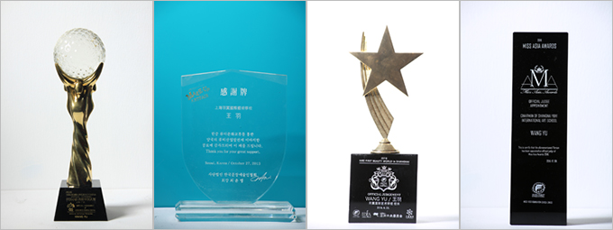 羽翼國(guó)際榮譽(yù)獎(jiǎng)項(xiàng)