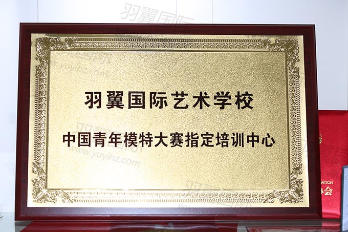 羽翼國(guó)際榮譽(yù)證書(shū)